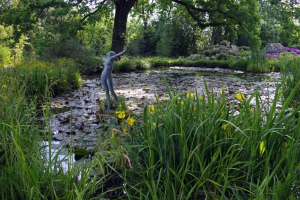fuveszkert.jpg Herb garden