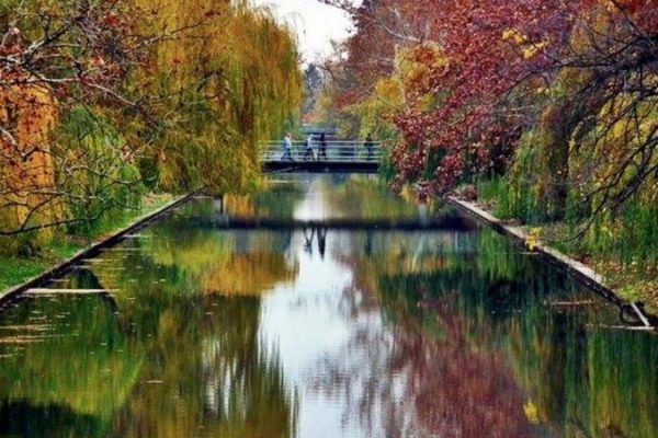 gyula-02-800×450-1.jpg gyula-02-800x450-1.jpg