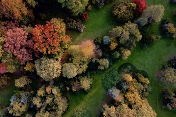 DCIM100MEDIADJI_0975.JPG DCIM100MEDIADJI_0975.JPG