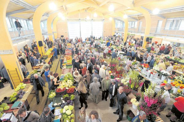 mars-ter.jpg Mars square market